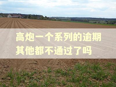 高炮一个系列的逾期其他都不通过了吗
