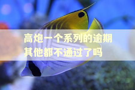 高炮一个系列的逾期其他都不通过了吗