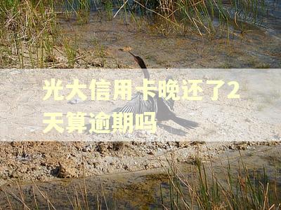 光大信用卡晚还了2天算逾期吗 光大信用卡晚还了2天算逾期吗