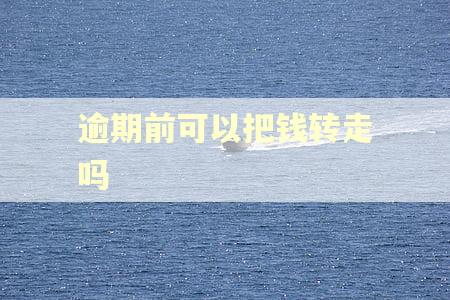 逾期前可以把钱转走吗