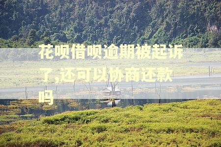 花呗借呗逾期被起诉了,还可以协商还款吗