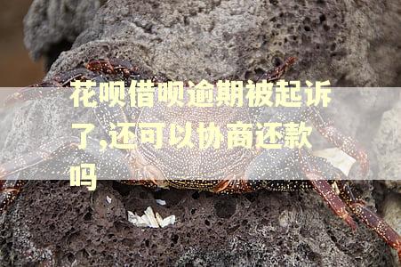 花呗借呗逾期被起诉了,还可以协商还款吗 花呗借呗逾期被起诉了,还可以协商还款吗