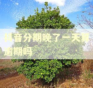 抖音分期晚了一天算逾期吗