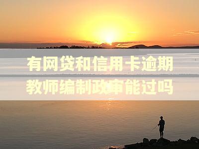 有网贷和信用卡逾期教师编制政审能过吗