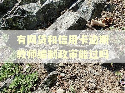 有网贷和信用卡逾期教师编制政审能过吗