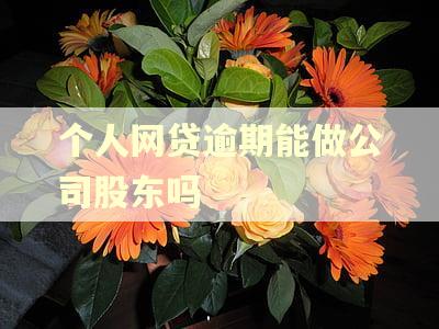 个人网贷逾期能做公司股东吗 个人网贷逾期能做公司股东吗