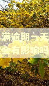 度小满逾期一天立马还款会有影响吗