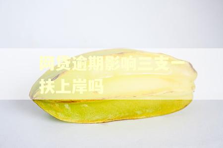网贷逾期影响三支一扶上岸吗