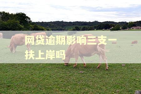 网贷逾期影响三支一扶上岸吗