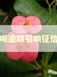还呗逾期引响征信吗 还呗逾期引响征信吗