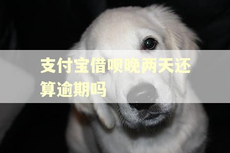 支付宝借呗晚两天还算逾期吗