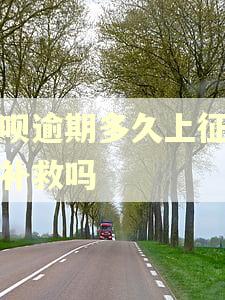 借呗逾期多久上征信能补救吗 借呗逾期多久上征信能补救吗