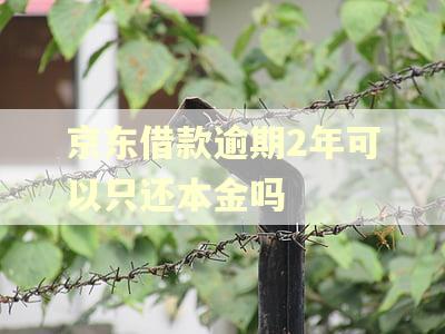 京东借款逾期2年可以只还本金吗 京东借款逾期2年可以只还本金吗