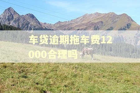 车贷逾期拖车费12000合理吗