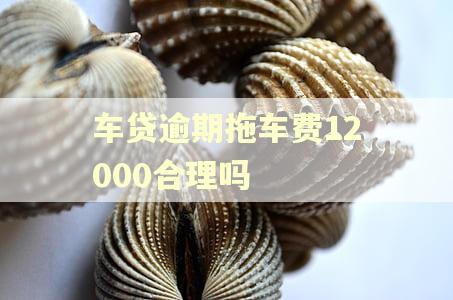 车贷逾期拖车费12000合理吗