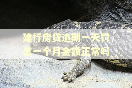 建行房贷逾期一天罚息一个月金额正常吗