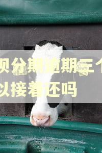 借呗分期逾期三个月可以接着还吗