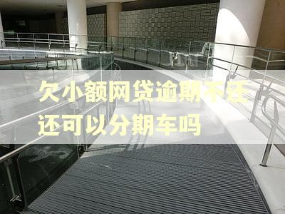 欠小额网贷逾期不还还可以分期车吗