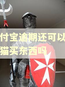 支付宝逾期还可以在天猫买东西吗