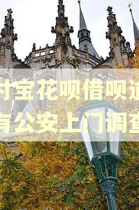 支付宝花呗借呗逾期会有公安上门调查吗