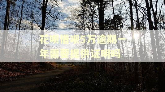 花呗借呗5万逾期一年需要提供证明吗