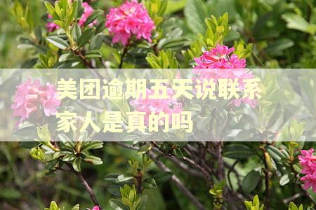美团逾期五天说联系家人是真的吗