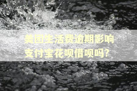 美团生活费逾期影响支付宝花呗借呗吗?