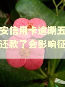 平安信用卡逾期五天后还款了会影响征信吗