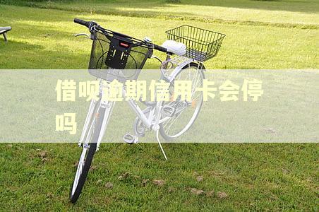 借呗逾期信用卡会停吗