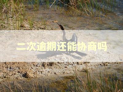 二次逾期还能协商吗