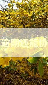 二次逾期还能协商吗