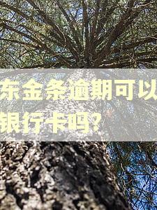京东金条逾期可以办理银行卡吗?