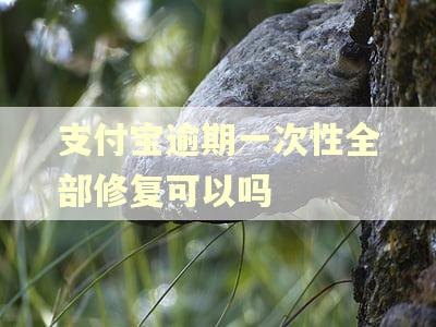 支付宝逾期一次性全部修复可以吗