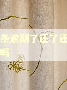 白条逾期了还了还能用吗