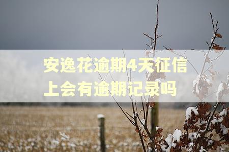 安逸花逾期4天征信上会有逾期记录吗