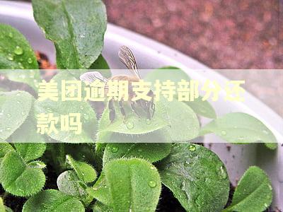 美团逾期支持部分还款吗 美团逾期支持部分还款吗