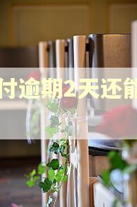 分付逾期2天还能用吗