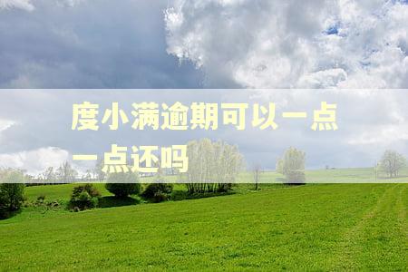 度小满逾期可以一点一点还吗