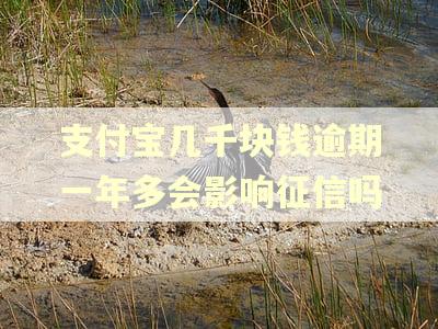 支付宝几千块钱逾期一年多会影响征信吗