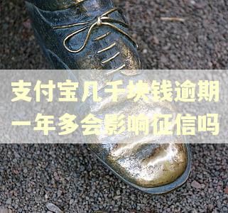 支付宝几千块钱逾期一年多会影响征信吗