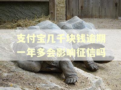 支付宝几千块钱逾期一年多会影响征信吗