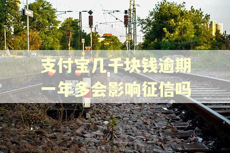 支付宝几千块钱逾期一年多会影响征信吗