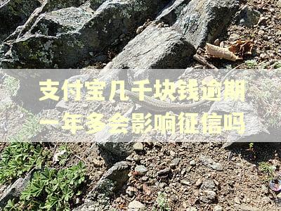 支付宝几千块钱逾期一年多会影响征信吗
