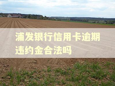 浦发银行信用卡逾期违约金合法吗