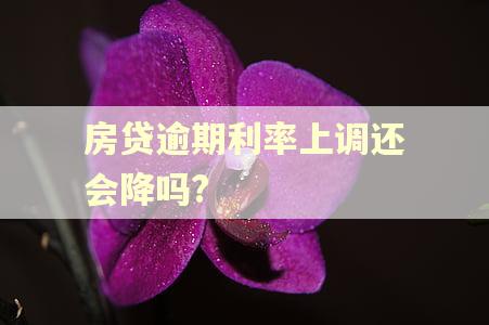 房贷逾期利率上调还会降吗?