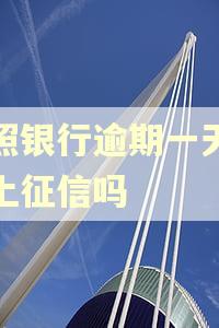 曰照银行逾期一天还款上征信吗