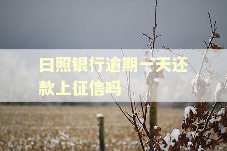 曰照银行逾期一天还款上征信吗
