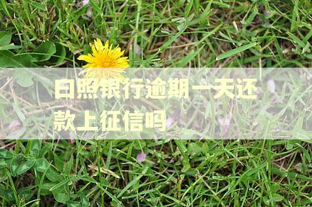 曰照银行逾期一天还款上征信吗