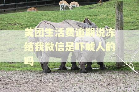美团生活费逾期说冻结我微信是吓唬人的吗