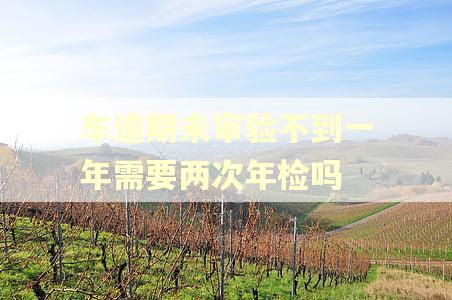车逾期未审验不到一年需要两次年检吗